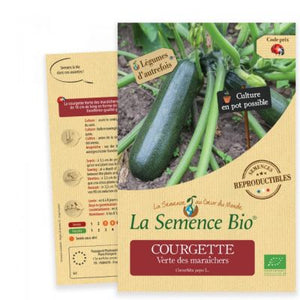 Courgette Verte Des Maraichers Semis